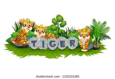Tiger is playing in the garden