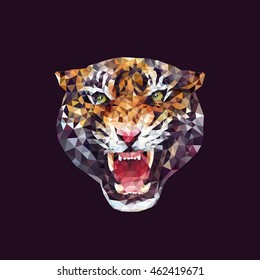 tiger. polygonal graphics. vector illustration