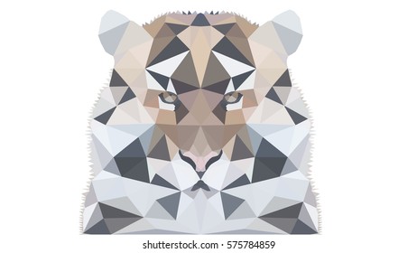 Tiger polygonal graphics vector illustration , White Background