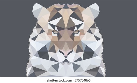 Tiger polygonal graphics vector illustration , Grey Background