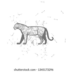 tiger.  Polygonal wireframe tiger silhouette. low poly vector illustrations on background of points and lines.