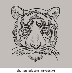 Tiger portrait
