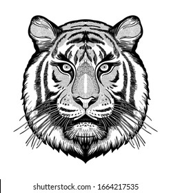 Tiger Portrait Dreamy Magic Art Power Stock Vector (Royalty Free ...