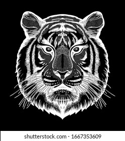 Tiger portrait. Dreamy magic art. Power symbol . Isolated vector illustration. Great outdoors, tattoo and t-shirt design.