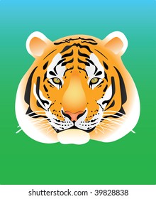 Tiger portrait illustration on green and blue background. Serious and self-confident appearance. Tiger is the symbol of 2010 year.