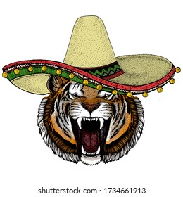 Tiger portrait. Sombrero mexican hat. Wild cat head.