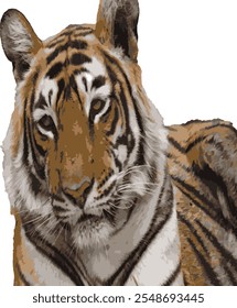 tiger portrait  vector illustration version
