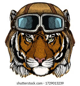 Tiger portrait. Wild cat head. Vintage aviator helmet with googles.