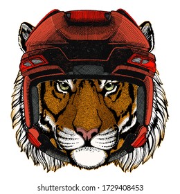 Tiger portrait. Wild cat head.