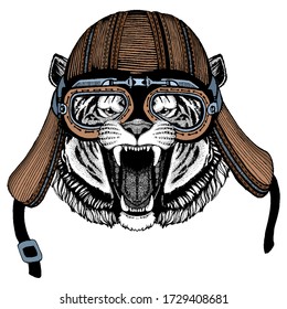 Tiger portrait. Wild cat head. Motorcycle helmet.