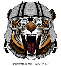 Tiger portrait. Wild cat head. Motorcycle helmet.