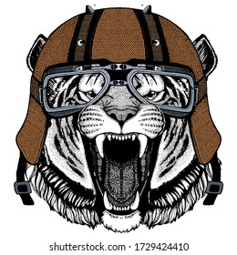 Tiger portrait. Wild cat head. Motorcycle helmet.