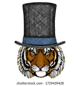 Tiger portrait. Wild cat head. Cylinder hat.