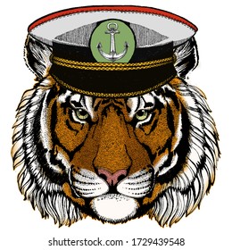 Tiger portrait. Wild cat head.