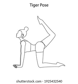 Tiger pose yoga workout outline on the white background. Vector illustration