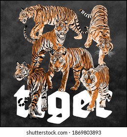 Tiger Posture Art illustration Vector On Smoke Background Wallpaper, Safari Wildlife, Tiger Face, Animals 