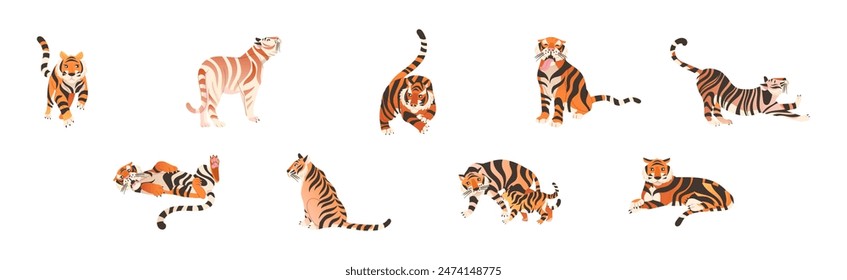 Tiger Predator Jungle Animal with Striped Coat Vector Set