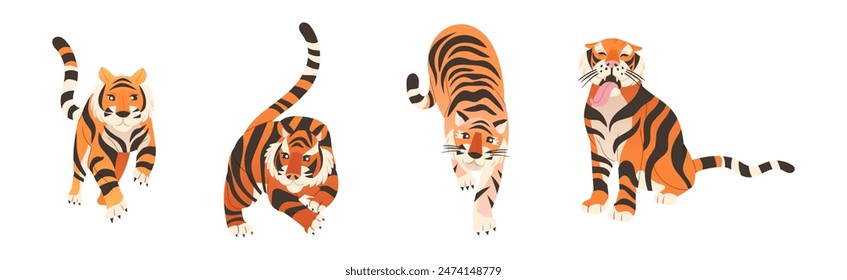 Tiger Predator Jungle Animal with Striped Coat Vector Set