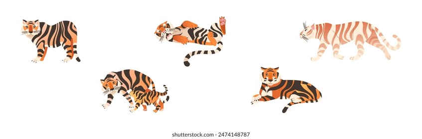 Tiger Predator Jungle Animal with Striped Coat Vector Set