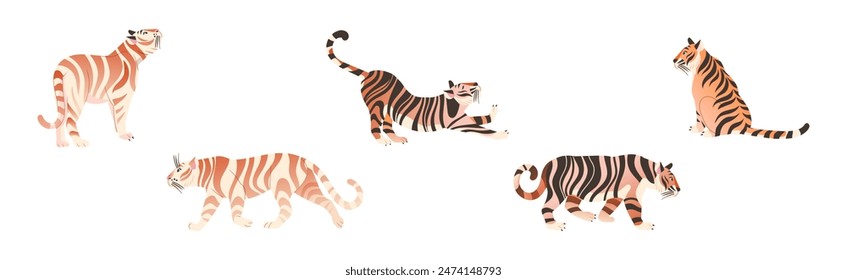 Tiger Predator Jungle Animal with Striped Coat Vector Set