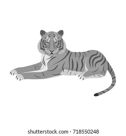 Tiger, a predatory animal. The Belgian tiger, a large wild cat single icon in monochrome style vector symbol stock illustration web.