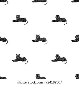 Tiger, a predatory animal. The Belgian tiger, a large wild cat single icon in black style vector symbol stock illustration web.