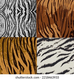 Tiger Print collection.Set of Tiger texture abstract background