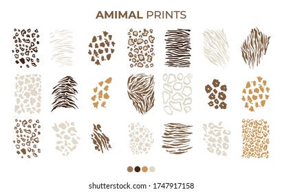 Tiger prints patterns, safari animals skin of leopard, jaguar and zebra, vector texture decoration elements. Safari animals print patterns, panther cheetah and giraffe fur hair leather isolated set