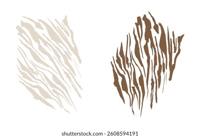 Tiger prints patterns, safari leopard, jaguar skin Set	