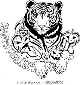 Tiger with pumpkins. Black-white halloween.