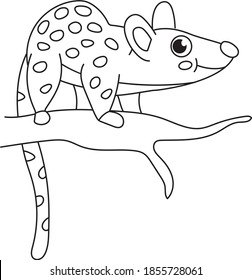 Tiger Quoll black and white vector illustration