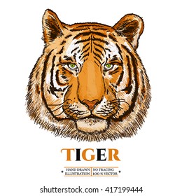 Tiger realistic portrait isolated on white vector illustration 
