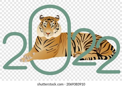 Tiger - realistic vector illustration, flat cartoon image of an animal. The symbol of 2022 New Year, a template on a white background to create a holiday card.