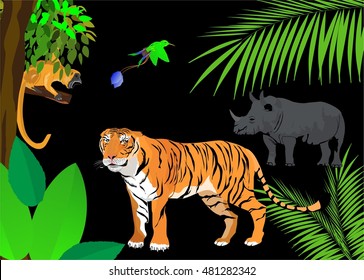 Tiger. rhina an monkey in jungle. Vector illustration scene on black background 