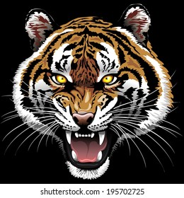 The Tiger Roar