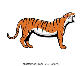 Tiger Roar Vector Cartoon Illustration for Mascot Logo, E-Sport Logo. Animals Cartoon Vector Illustration.