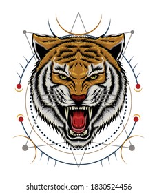 Diseño de la ilustración vectorial de los tigres ruares.