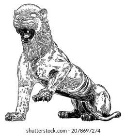 Tiger roaring drawing on white background. Illustration of angry growling tiger. Angry big cat. Vector. 