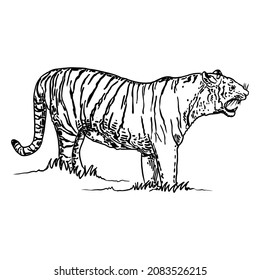 1,160 Tiger heraldry Images, Stock Photos & Vectors | Shutterstock