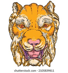 Tiger roaring face illustration. Color growl tiger head. Portrait of angry big wild cat, hand drawing in details. Vector. 