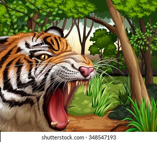 Tiger roaring in the jungle illustration