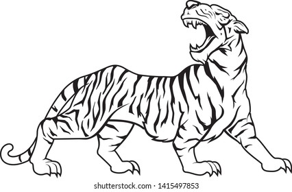 Tiger Roaring Wild Animal Vector Illustration