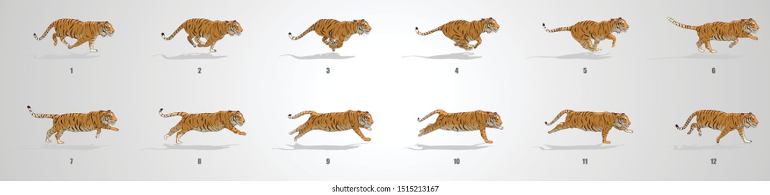 9,384 Running Tiger Images, Stock Photos & Vectors | Shutterstock