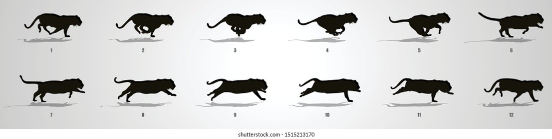 Tiger run cycle animation sequence, animation frames silhouette