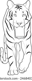 Tiger Sandwich Animal Vector Graphic Art Illustration
