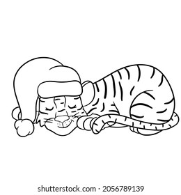 Tiger in Santa hat is sleeping in anticipation of Christmas.  The symbol of the new year according to the Chinese or Eastern calendar. Outline for coloring. Vector editable illustration, cartoon style