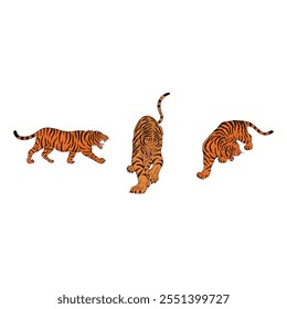 Tiger set Animal Flat Vector Illustrations in Minimalist Style on White Background