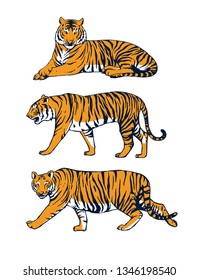 tiger set vector