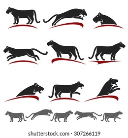 Tiger set. Vector