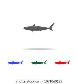 Tiger shark icon. Elements of Australian animals multi colored icons. Premium quality graphic design icon. Simple icon for websites web design mobile app, info graphics on white background